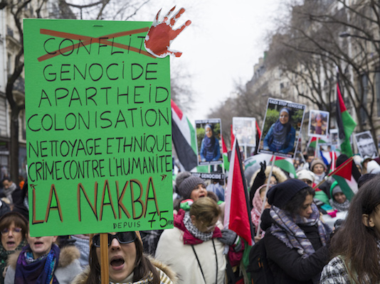 Rima Hassan : "Je suis habitée par la Palestine"