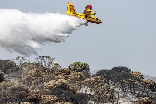Maroc. Plusieurs hectares de couvert forestier ravagés par un incendie