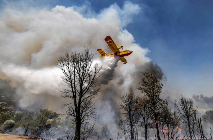 Deux avions Canadair des FAR déployés contre les feux de forêt au Portugal