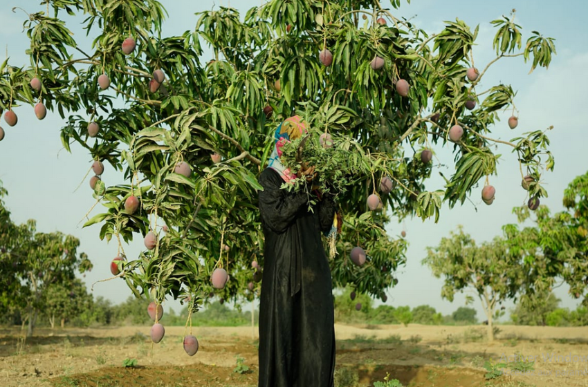 Les Rencontres de la Photographie de Marrakech du 23 au 27 octobre