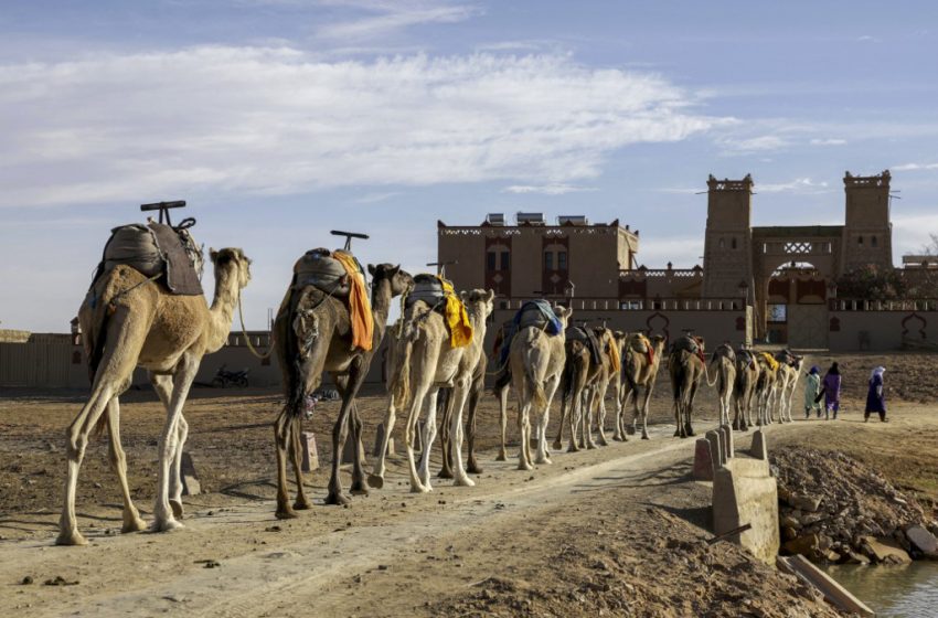  Le Maroc en tête du tourisme africain : entre histoire, désert et dynamisme