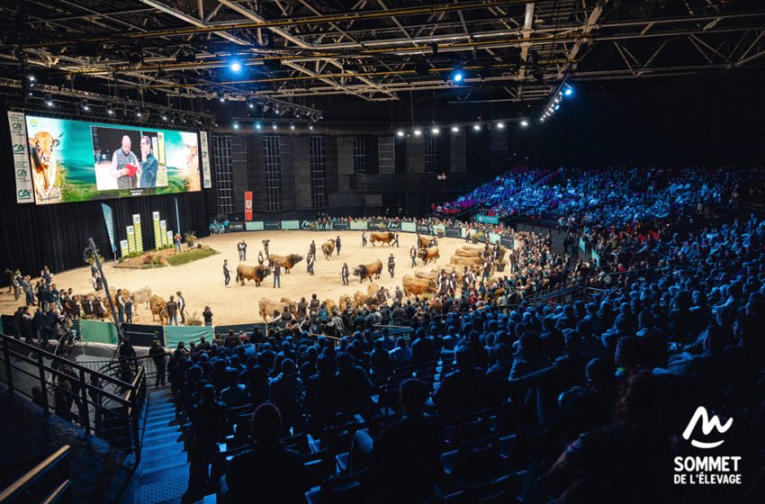  Sommet de l’élevage 2025: le Maroc, invité d’honneur