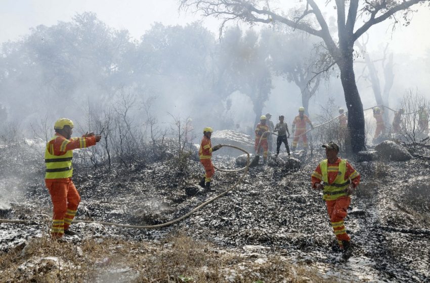 Chefchaouen : des hectares ravagés par un incendie