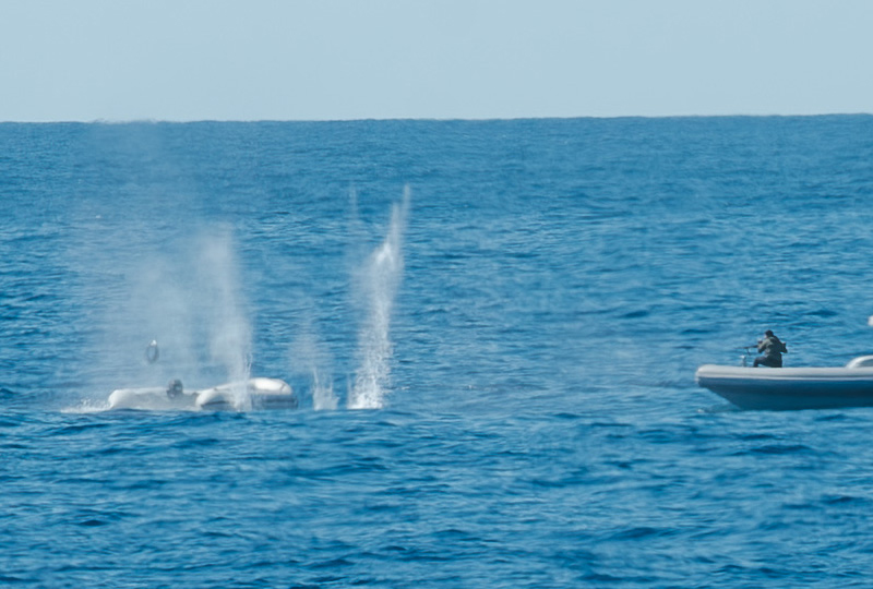 Méditerranée : des « attaques armées » dénoncées par les personnes migrantes