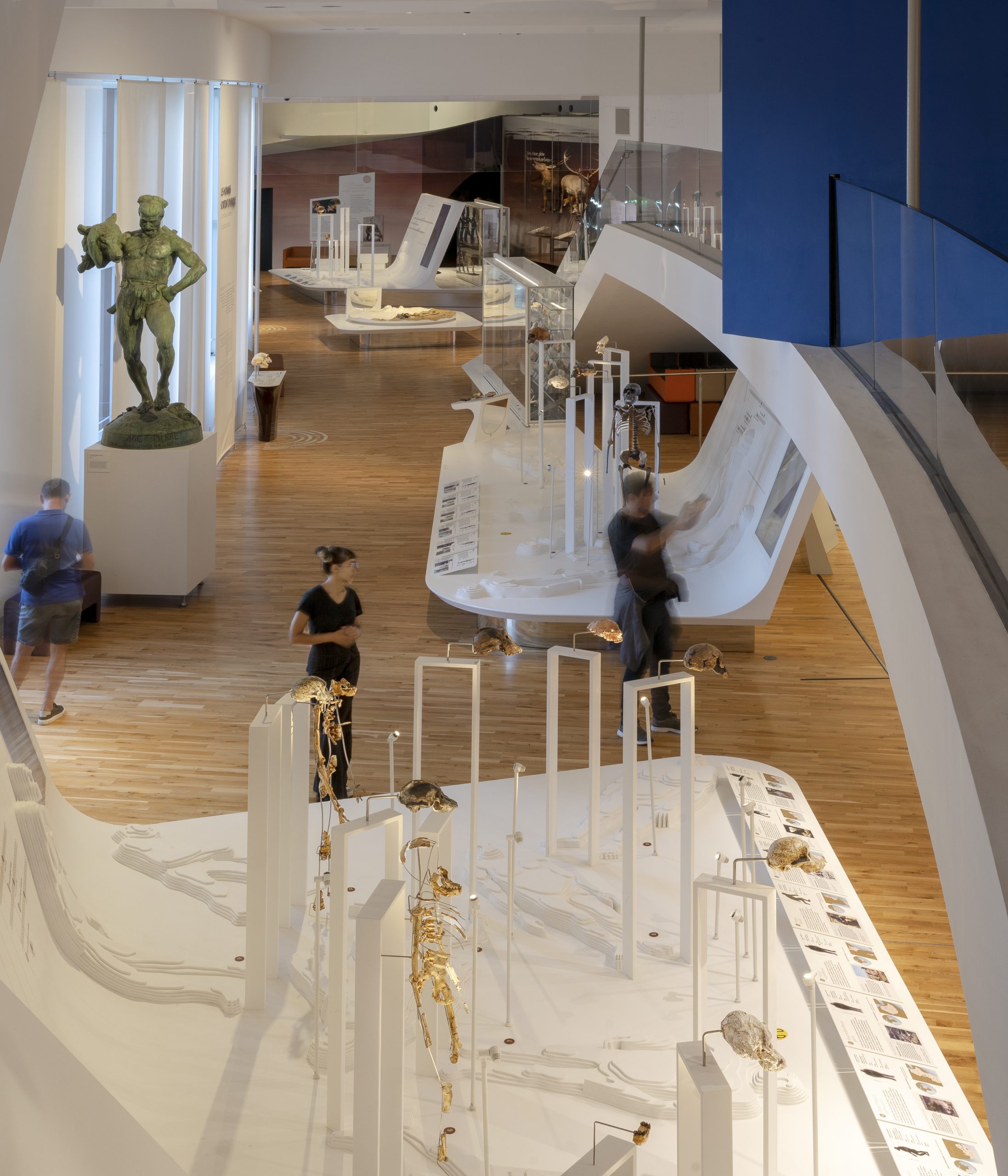 Le Musée de l'Homme fête les 10 ans de sa réouverture