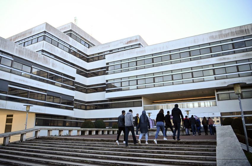 Enquête sur le niveau d’étude des petits-enfants d'immigrés