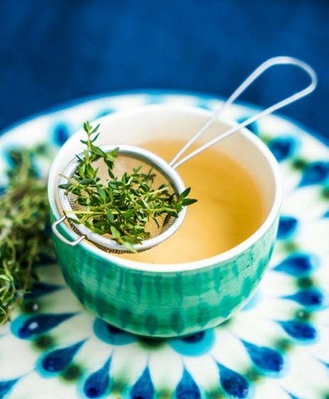 Phytothérapie : Au Maroc, le champ des possibles