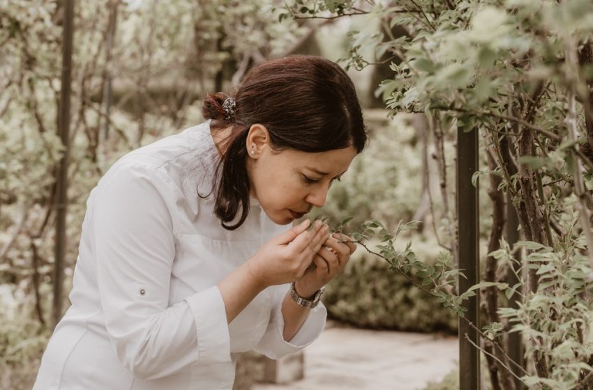 Nawal Rezagui, cheffe marocaine du restaurant L’Alcôve en Champagne, étoilée au Guide Michelin 2026.