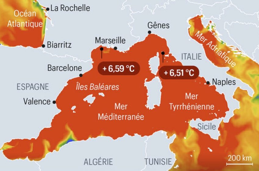  El Niño et la Tunisie : vers l’un des étés les plus chauds depuis 150 ans ?