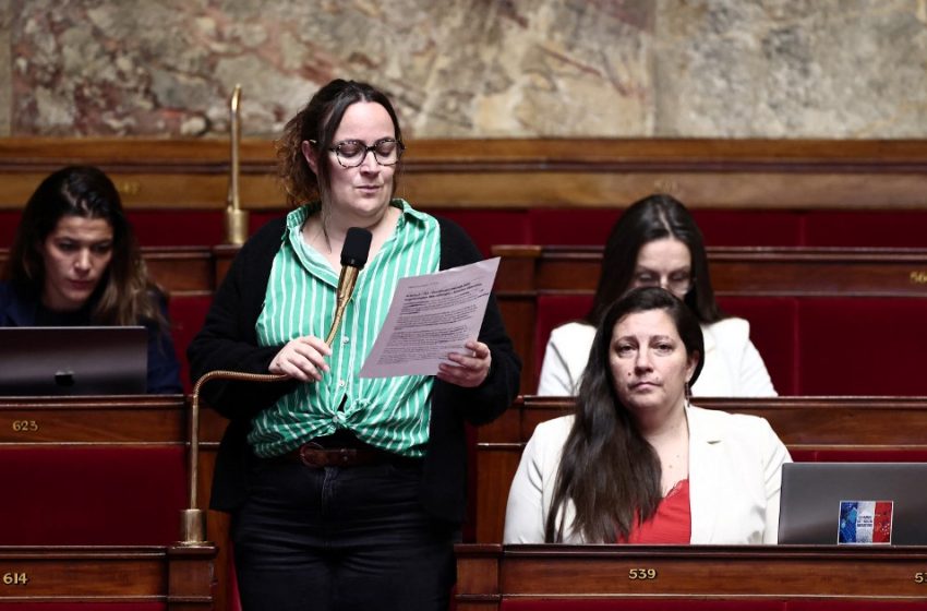 La députée LFI Élise Leboucher lors d'une séance à l'Assemblée nationale consacrée au budget de la Sécurité sociale