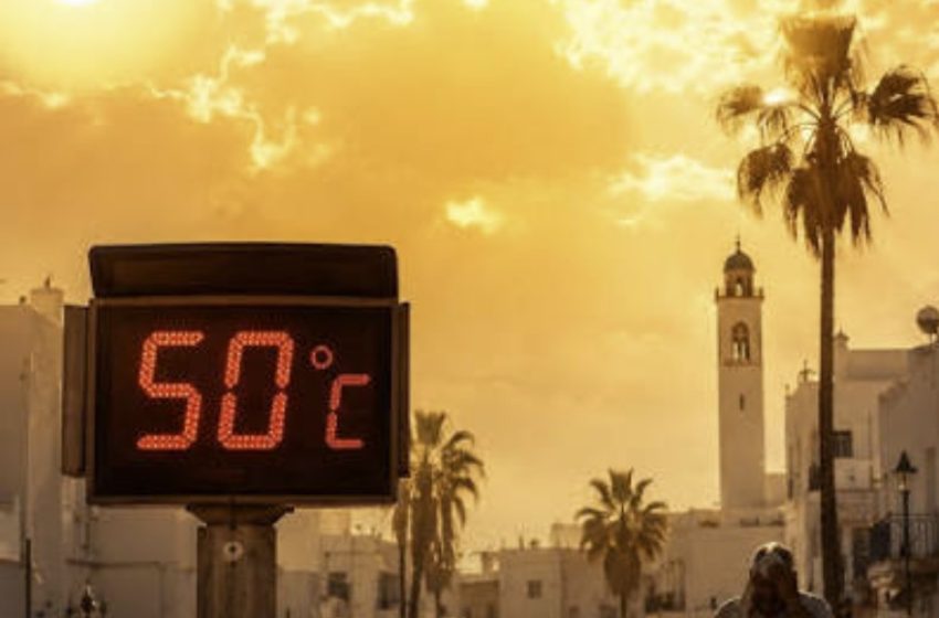  Tunisie : la canicule ravive la crainte des pénuries et des incendies