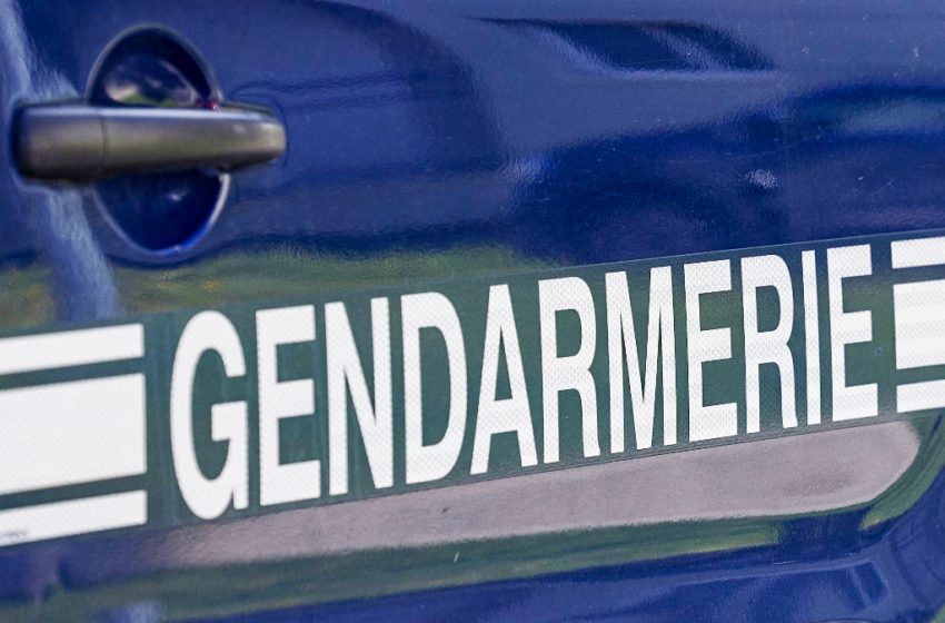 Logo de la gendarmerie française sur la portière d’un véhicule.