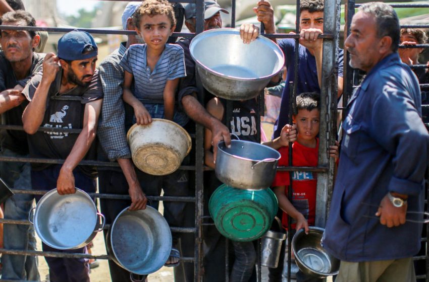  Chiffre de la semaine | Gaza : jusqu’à 90 % des habitants menacés par la faim