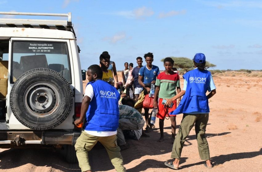 Des membres de l’OIM portent assistance aux survivants d’un naufrage à Djibouti.